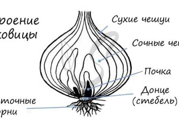 Аутентификатор кракен